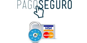 pago seguro